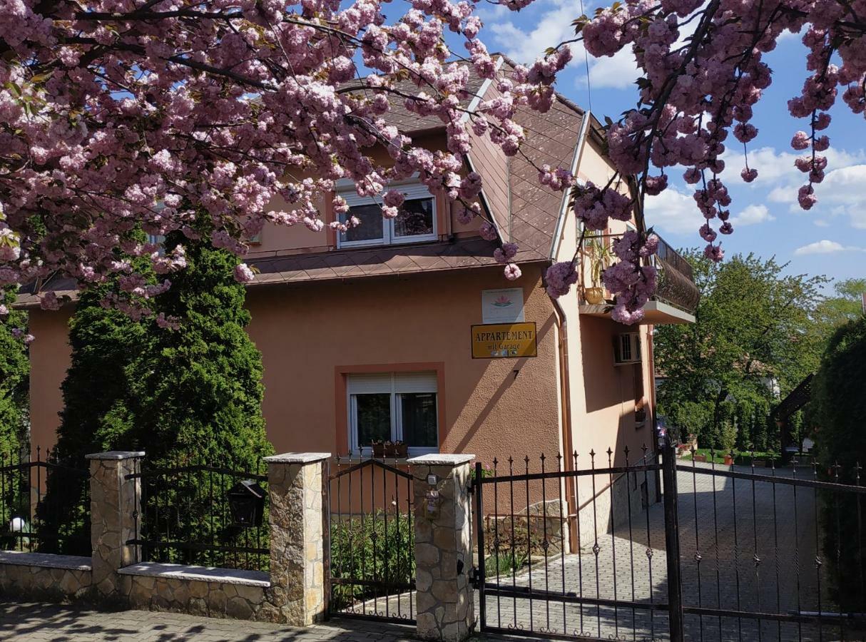 Hévíz Szecsenyi Apartman מראה חיצוני תמונה